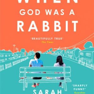 When God Was A Rabbit book cover